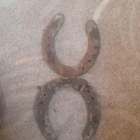 نعل‌اسب‌|اسب و تجهیزات اسب‌سواری|مشهد, دوست آباد|دیوار