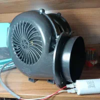 فن حلزونی ماینر ژن اصلی