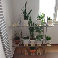 استند گل و گلدان