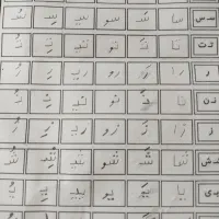 استخدام مربی