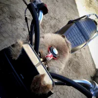 موتور مزایده مدل 94