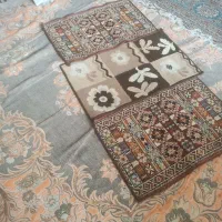 پادری  تمیز وسالم