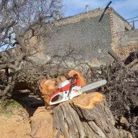 خرید چوب|خدمات باغبانی و درختکاری|نهاوند, |دیوار