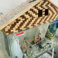 آکواریوم بزرگ|ماهی|دوگنبدان, |دیوار