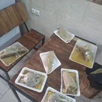 عسل کوهی سر شاخه تضمینی