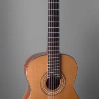 classic pop گیتار|گیتار، بیس، امپلیفایر|مشهد, آزادشهر|دیوار