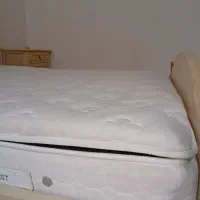 تشک طبی گرین رست