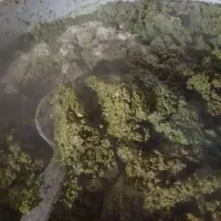 سبزی خورشتی|خوردنی و آشامیدنی|میانکوه, |دیوار