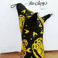 نی عشق|سازهای بادی|شیراز, سفیرشمالی|دیوار