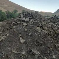 کود گوسفندی پوسیده