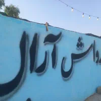 نیرو کارواش ارال