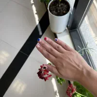 تخفیف ویژه و محدود برای خدمات ناخن|خدمات آرایشگری و زیبایی|تهران, سازمان برنامه شمالی|دیوار