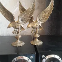 عقاب برنزی