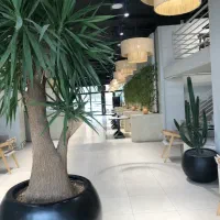 سالاد زن و پیتزا زن