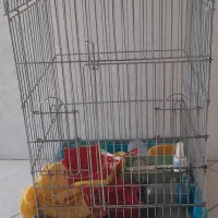 قفس پرنده