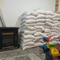 برنج هاشمی ممتاز تالش الک کارخانه