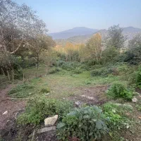 زمین بافت مسکونی منطقه زیبا لفور|فروش زمین و ملک کلنگی|آلاشت, |دیوار