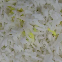 خریدار طارم هاشمی