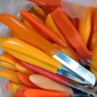 کارد میوه خوری|ظروف سرو و پذیرایی|طرقبه, |دیوار