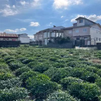 زمین-مسکونی-سند-تک-برگ-پروانه-ساخت-در-بازکیاگوراب