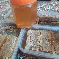عسل طبیعی کوهستانی سارال
