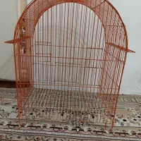 دو قفس پرنده