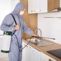 سم پاشی و موریانه زدایی