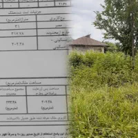 زمین روستایی با مدارک کامل|فروش زمین و ملک کلنگی|رشت, چمارسرا|دیوار