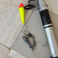لنسر ماهیگیری