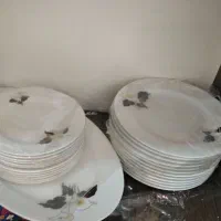 ظروف گل نیلوفر
