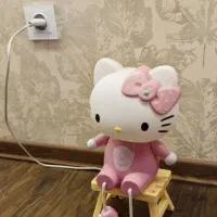 چراغ خواب کیتی|چراغ خواب و آباژور|شیراز, کوی قضات|دیوار