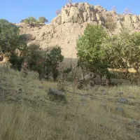 مغازه اجاره ای شبرنگ