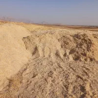 کاه|لوازم جانبی حیوانات|روانسر, |دیوار