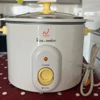 پلو پز و بخار پز مایسان