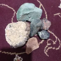 سنگ های فسیلی کم یاب لطفاً مشتری واقعی تماس بگیره