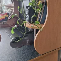 میزکامپیوتر کاملا سالم و چوب محکم|میز تحریر و کامپیوتر|اصفهان, شاه پسند|دیوار