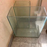 اکواریوم
