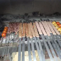 نیرو جهت کار در باربیکیو