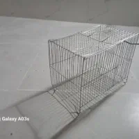 قفس