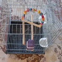 قفس پرنده|لوازم جانبی حیوانات|شاهین دژ, |دیوار