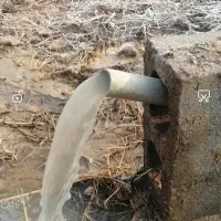 کارشناس پیداکردن رگهای اصلی اب