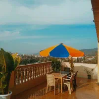 ویو خیره کننده جنگل های هیرکانی ،حساسیت درنظافت