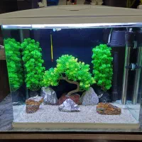 اکواریوم شرکتی ماهیران۶۰لیتری