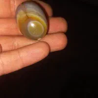 مهره سلیمانی تکی