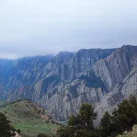 راهنمای