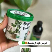 2عددبخر3تا ببرید