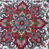 یک جفت هریس سالاری(۶متری)