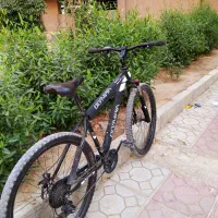 دوچرخه|دوچرخه، اسکیت، اسکوتر|فیروزآباد (فارس), |دیوار