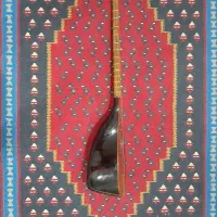 تنبور کاسه ای