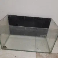 اکواریم و لوازم